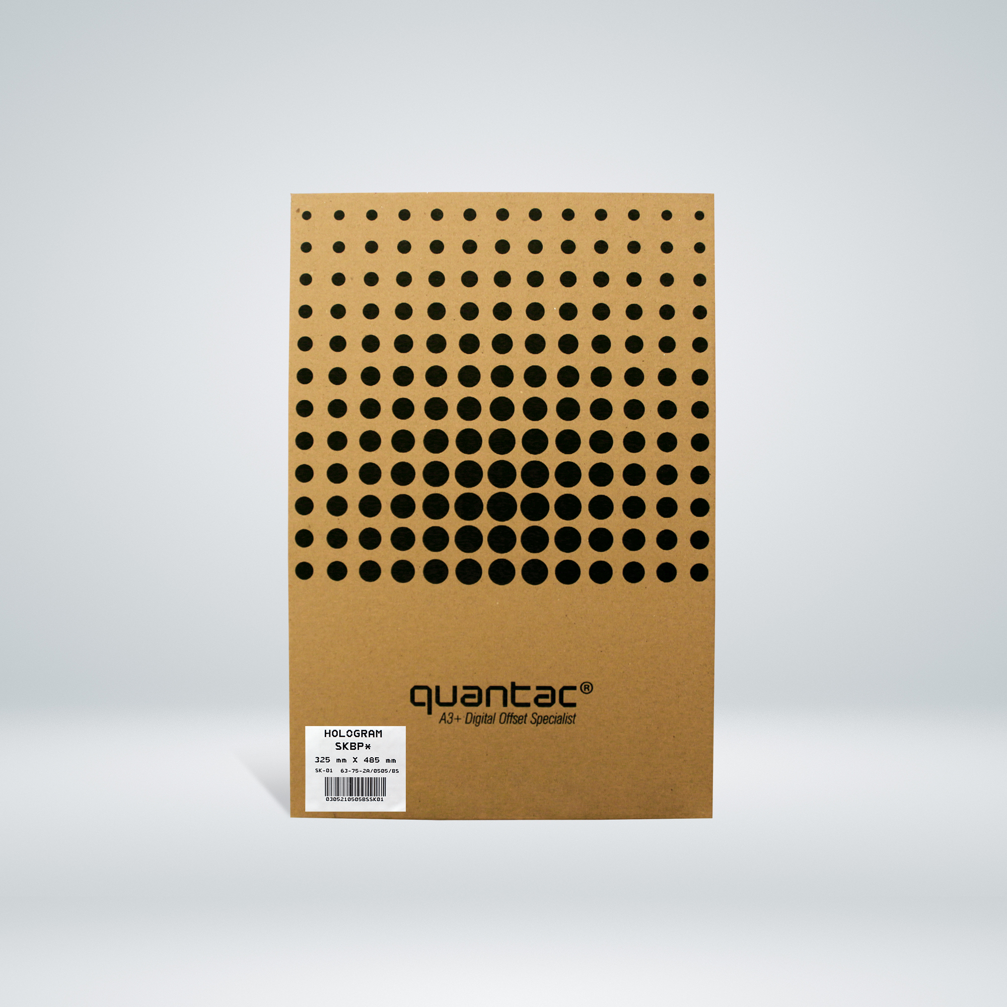 A3+ Sticker QUANTAC® Silver Chrome Rainbow SKBP